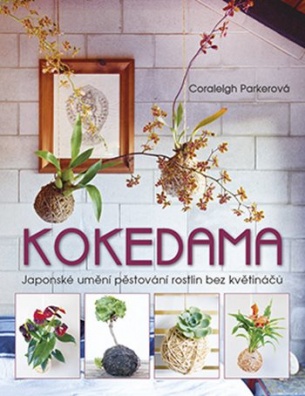 Kokedama