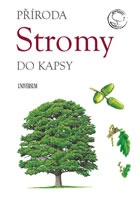 Stromy