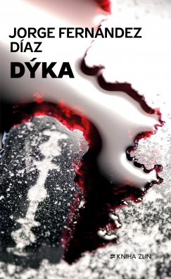 Dýka