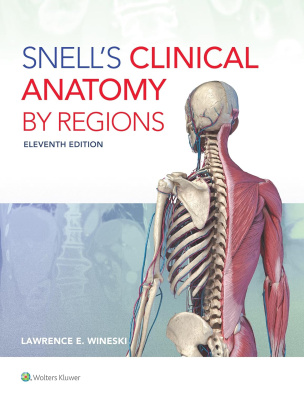 Snell's Clinical Anatomy by Regions Eleventh Edition