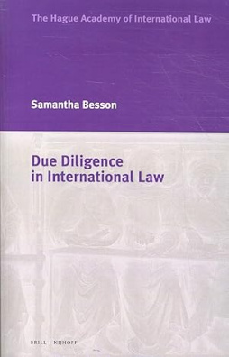 Due Diligence in International Law